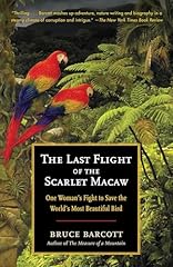 The last flight d'occasion  Livré partout en France