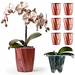 Pack inch orchid for sale  Delivered anywhere in USA 