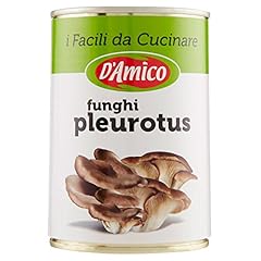 Amico facili cucinare usato  Spedito ovunque in Italia 