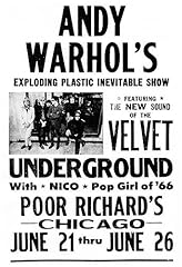 Andy warhol velvet for sale  Delivered anywhere in USA 