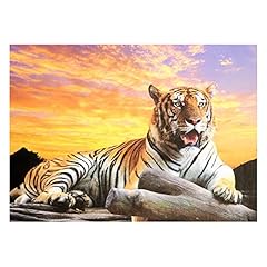 Tiger sunset 1000 for sale  Delivered anywhere in UK