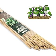 Cambaverd 6ft bamboo for sale  Delivered anywhere in USA 