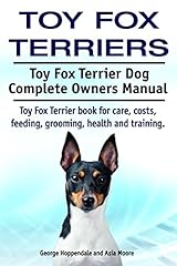 Toy fox terriers. for sale  Delivered anywhere in UK