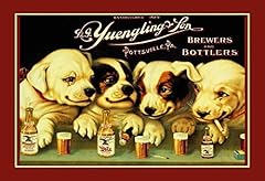 Yuengling son ale for sale  Delivered anywhere in USA 