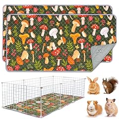 Bebejojo pack guinea for sale  Delivered anywhere in UK