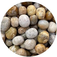 Gaf treasures wholesale for sale  Delivered anywhere in UK