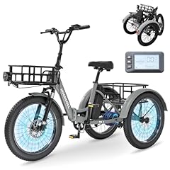 Mooncool elektro dreirad gebraucht kaufen  Wird an jeden Ort in Deutschland