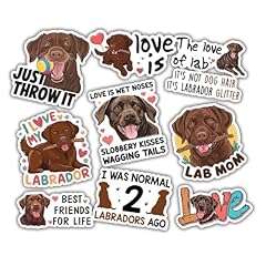 Chocolate labrador retriever for sale  Delivered anywhere in USA 