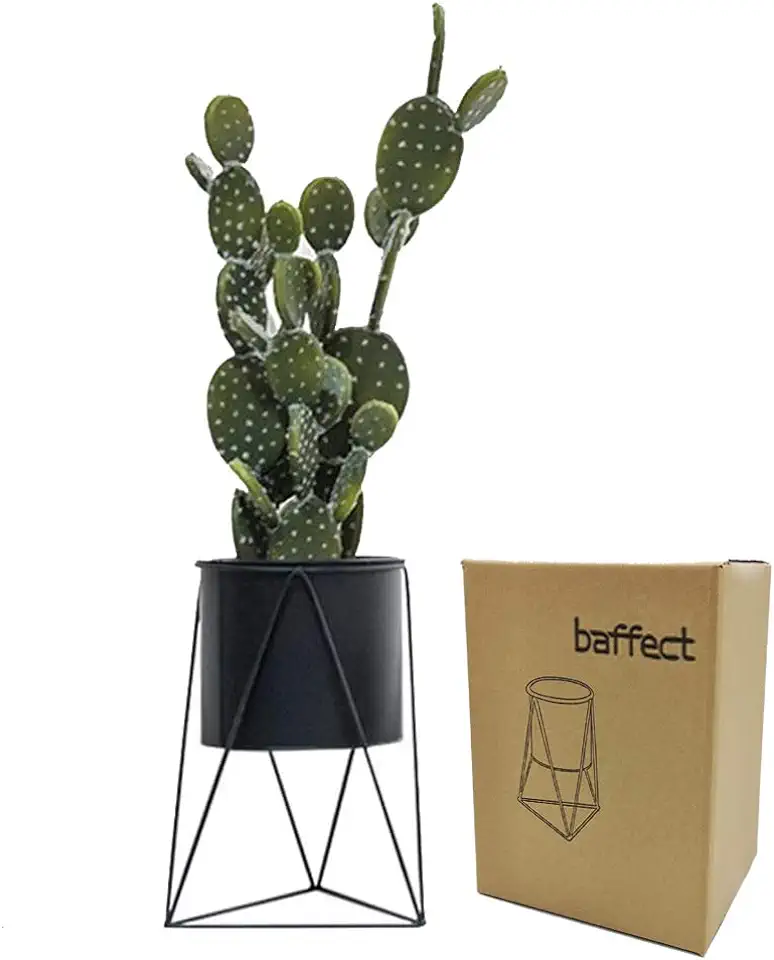 Baffect Metalen plantenstandaard met plantenpot, ijzerplant pannenlap plantenpot standaard voor tuin thuis tafel kantoor decor indoor (zwart) tweedehands  