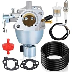 Honeyrain 847395 carburetor for sale  Delivered anywhere in USA 