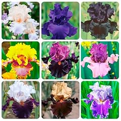 200 mixed rare for sale  Delivered anywhere in USA 