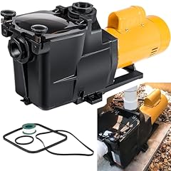 W3sp2607x10 pool pump for sale  Delivered anywhere in USA 