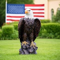 Rkgomdmu american eagle for sale  Delivered anywhere in USA 