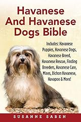 Havanese havanese dogs for sale  Delivered anywhere in USA 