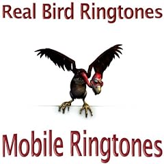 Real bird ringones for sale  Delivered anywhere in UK