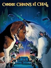 Chiens chats d'occasion  Livré partout en France
