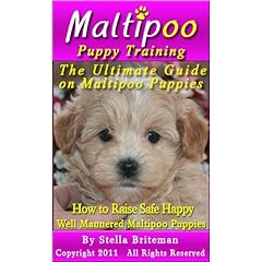 Maltipoo puppy training for sale  Delivered anywhere in USA 