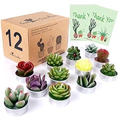 Aixiang 12pcs cactus for sale  Delivered anywhere in USA 