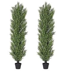 Bloom times 6ft for sale  Delivered anywhere in USA 