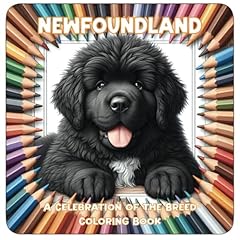 Newfoundland celebration breed for sale  Delivered anywhere in USA 