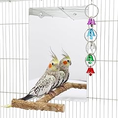 Dnoifne large bird for sale  Delivered anywhere in UK