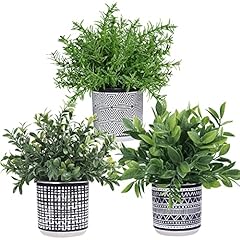 Winlyn set small for sale  Delivered anywhere in USA 