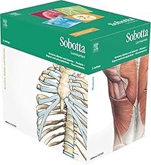 Sobotta lernkartenpaket knoche gebraucht kaufen  Wird an jeden Ort in Deutschland