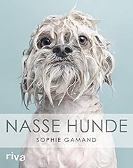 Nasse hunde d'occasion  Livré partout en Belgiqu