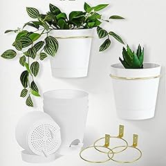Bouqlife wall planters for sale  Delivered anywhere in USA 