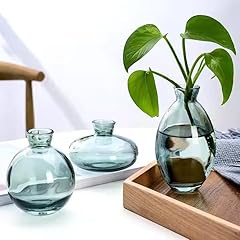 Glass bud vase for sale  Delivered anywhere in USA 