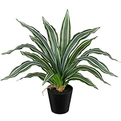 Dilatata artificial dracaena for sale  Delivered anywhere in USA 