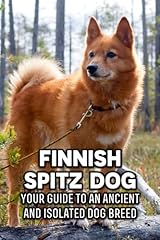 Finnish spitz dog for sale  Delivered anywhere in UK