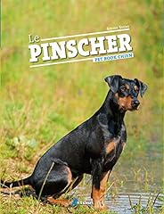 Pinscher d'occasion  Livré partout en France
