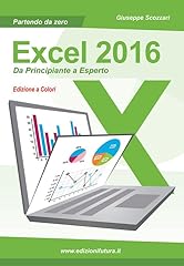 Excel 2016. principiante usato  Spedito ovunque in Italia 