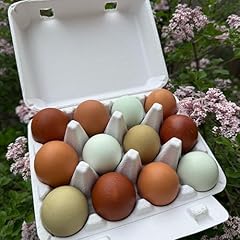 Frizzle fertilized chicken for sale  Delivered anywhere in USA 