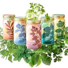 Modern sprout new for sale  Delivered anywhere in USA 
