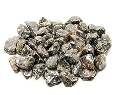 Turitella agata tumblestones usato  Spedito ovunque in Italia 