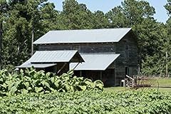 Photo tobacco field for sale  Delivered anywhere in USA 