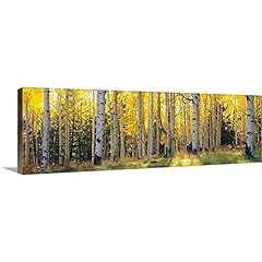 Canvas demand aspen for sale  Delivered anywhere in USA 