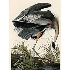 Artery8 audubon birds for sale  Delivered anywhere in UK