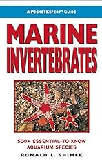 Pocketexpert guide marine for sale  Delivered anywhere in USA 