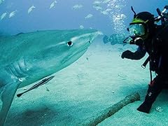 Shark trek for sale  Delivered anywhere in USA 