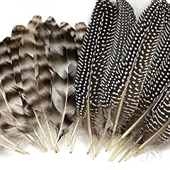 Pcs natural pheasant for sale  Delivered anywhere in USA 