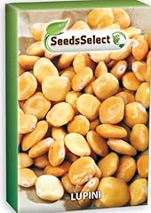 Lupino semina scatola usato Lupino semina scatola usato  Spedito ovunque in Italia