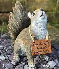Cute squirrel bird for sale  Delivered anywhere in UK