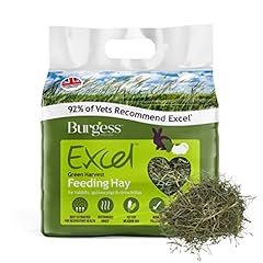 Burgess excel green for sale  Delivered anywhere in Ireland
