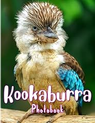 Kookaburra photobook large gebraucht kaufen  Wird an jeden Ort in Deutschland