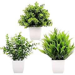Greentime 3pack mini for sale  Delivered anywhere in USA 