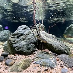 Aquarium decor river for sale  Delivered anywhere in USA 