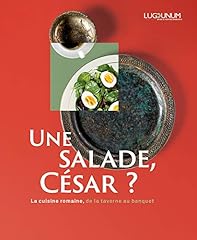 Salade césar cuisine d'occasion  Livré partout en France